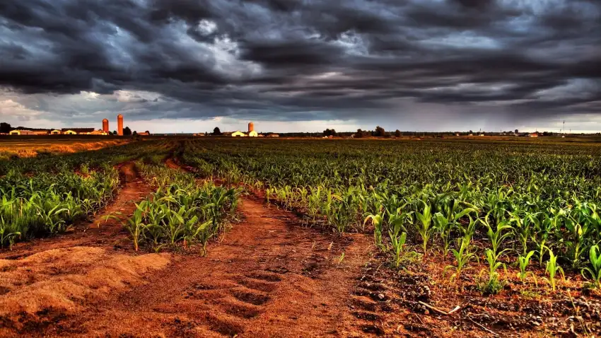 Blue Sky With Farm Field Background HD Download