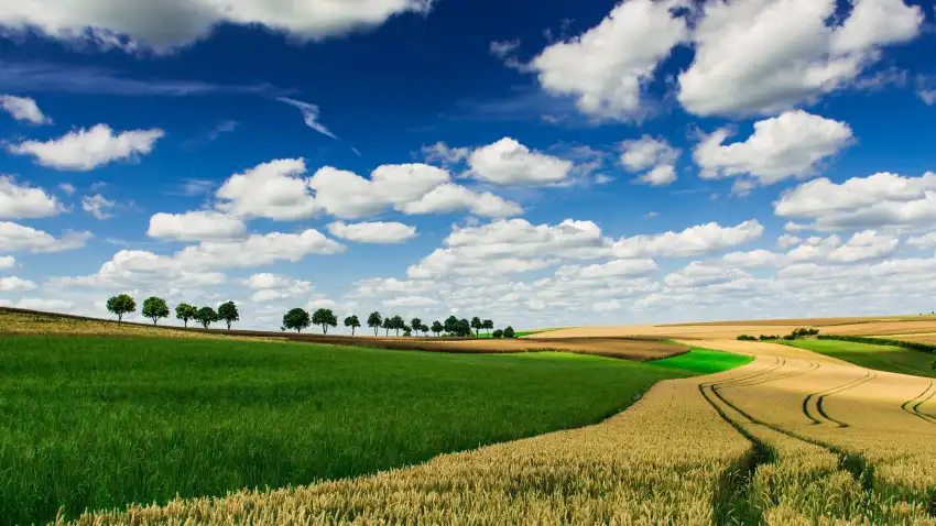 Blue Sky With Farm Field Background HD Download