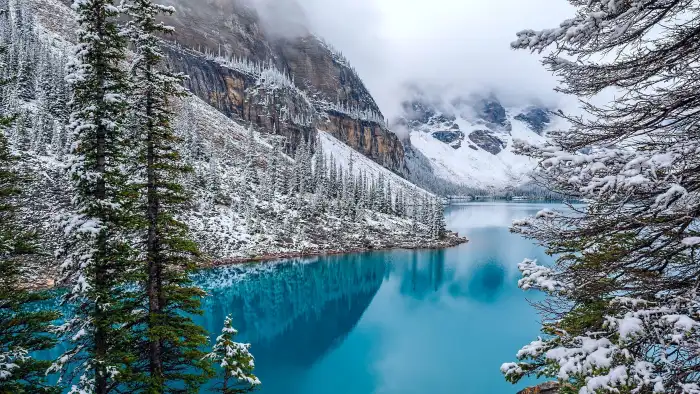 Blue Water Lake Winter Forest Background HD Wallpapers