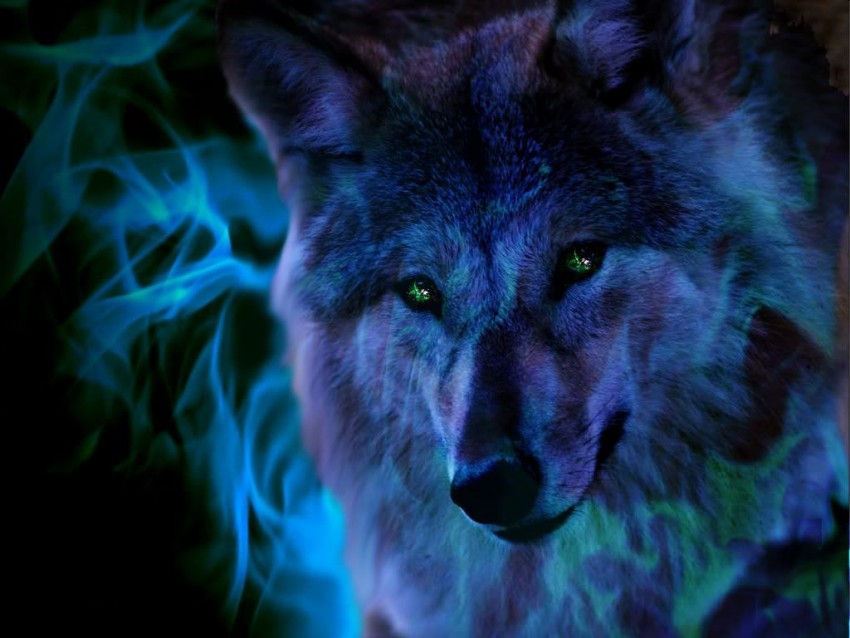 Blue Wolf Background Full HD Wallpaper Download