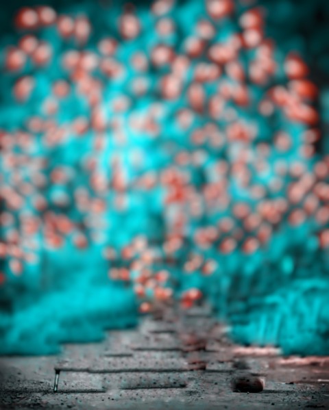 Blur Bokeh CB Editing Background Full HD