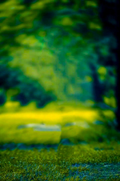 Blur CB Background For Lightroom Editing