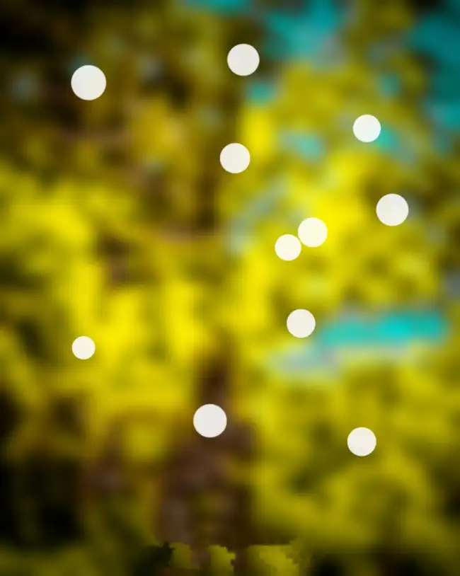 Blur CB Tree Yellow Bokeh Light  Background HD Download