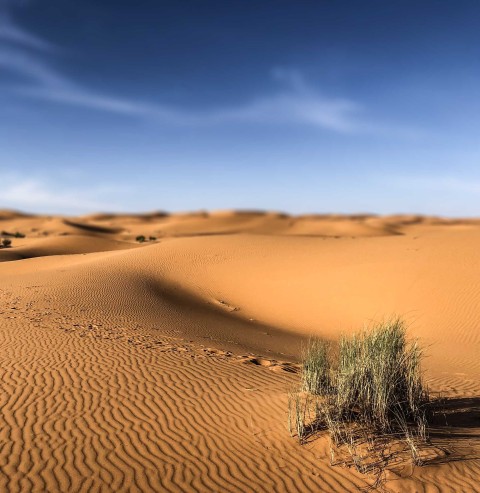 Blur Desert Sahara  Editing Background HD Download