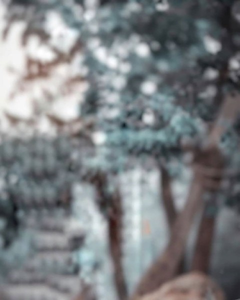 Blur Editing Snapseed Background Full Hd