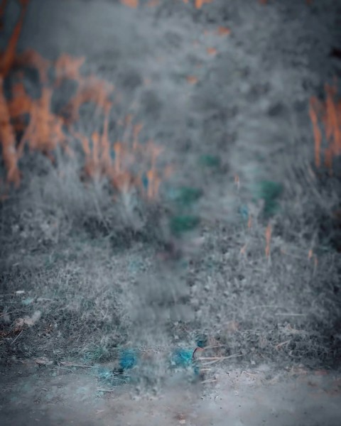 Blur Editing Snapseed Background Full Hd