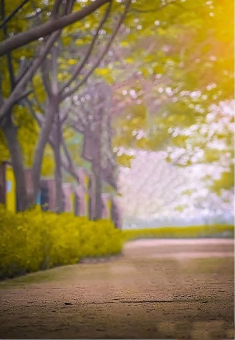 Blur Editing Snapseed Background Full Hd