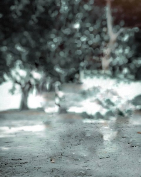 Blur Editing Snapseed Background Full Hd