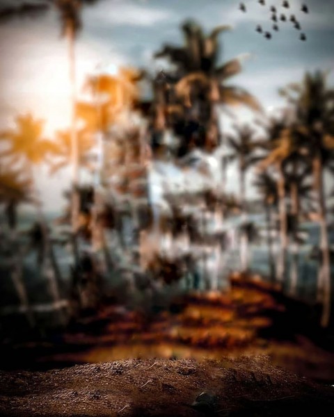 Blur Editing Snapseed Background Full Hd