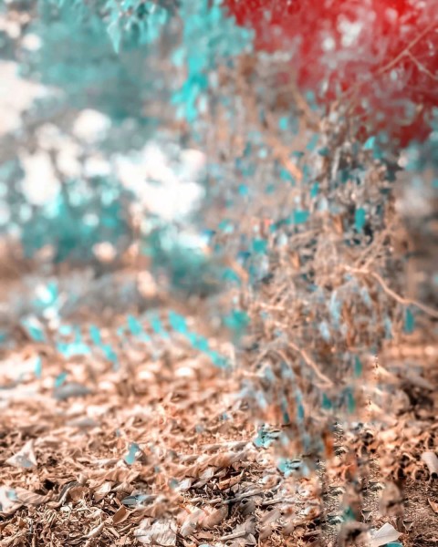 Blur Editing Snapseed Background Full Hd