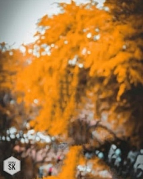 Blur Editing Snapseed Background Full Hd