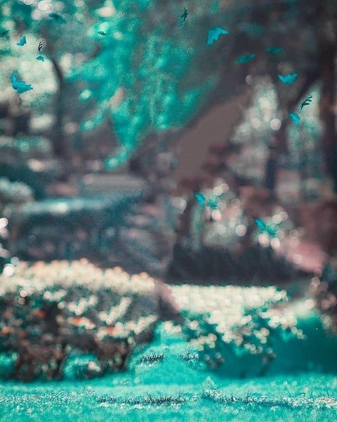 Blur Editing Snapseed Background Full Hd