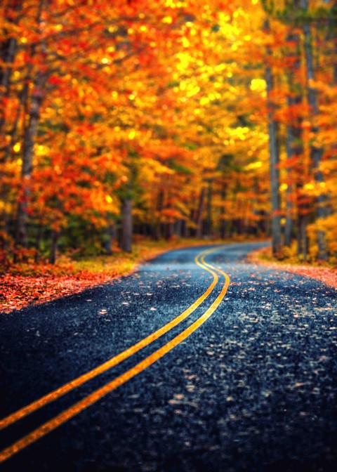 Blur Editingt  Road Background  Full HD   Download Free