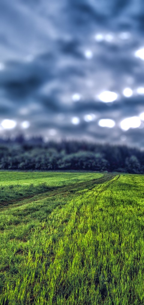 Blur Grass CB Picsart Editing Background Full HD