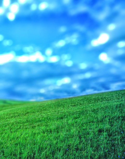 Blur Grass CB Picsart Editing Background Full HD  Download