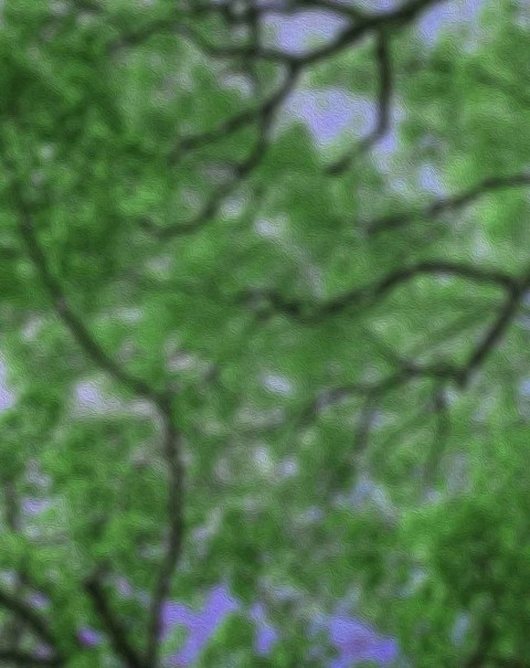 Blur Green CB Editing PicsaArt Background Full HD Download