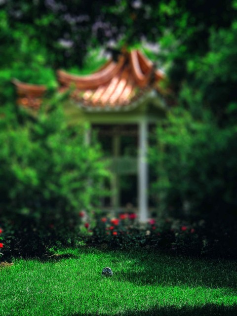 Blur Green Garden  Editing Background HD Download