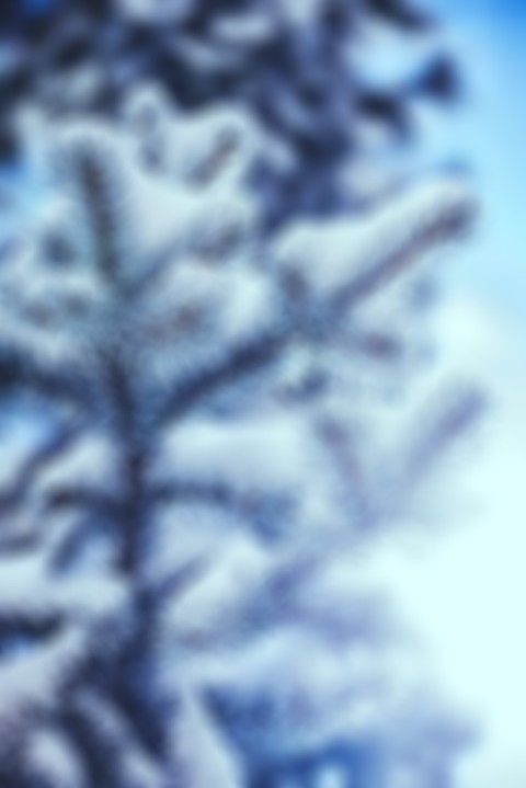 Blur Nature Tree Winter CB Picsart Background HD  Download