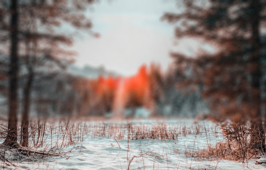 Blur Nature Winter CB Picsart Background HD  Free Download