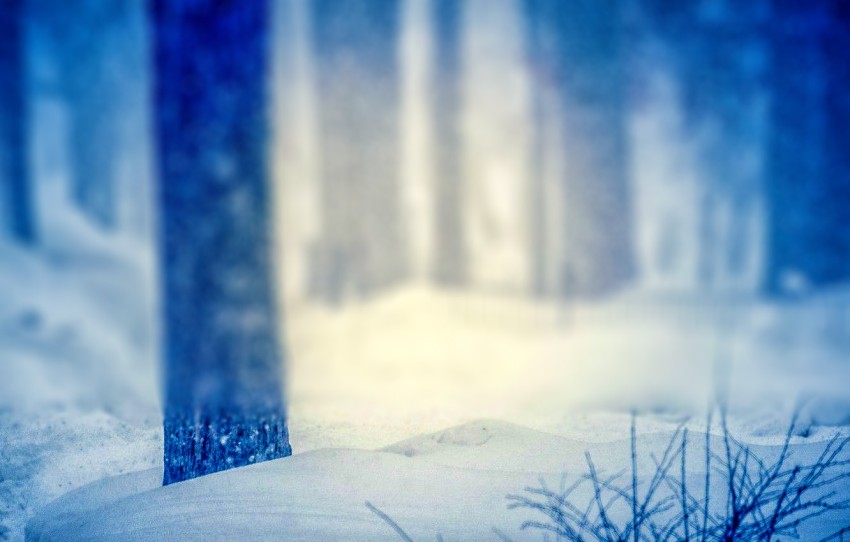 Blur Nature Winter Forest CB Picsart Background HD