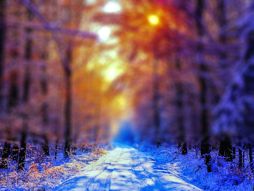 Blur Nature Winter Forest tree CB Picsart Background HD