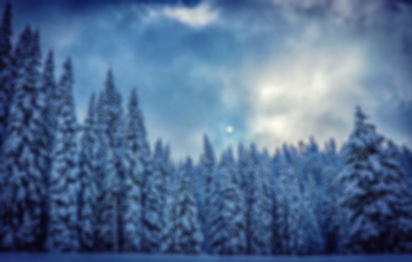 Blur Nature Winter Tree CB Editing Picsart Background HD