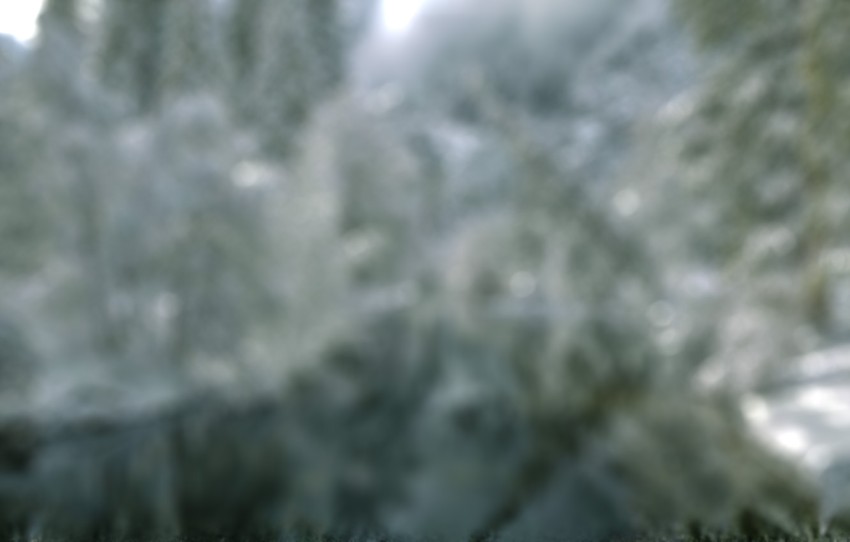 Blur Nature Winter Tree Ice CB Picsart Background HD