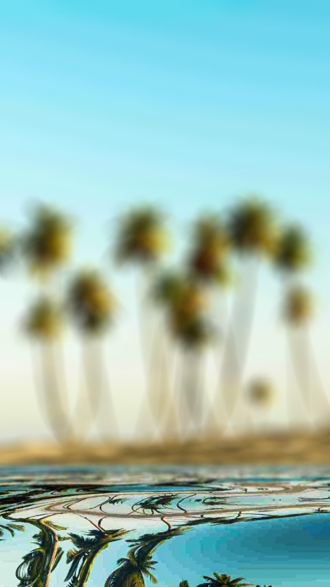 Blur Palm Tree CB Picsart Background Download Free