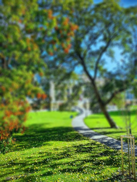 Blur Park CB Picsart Editing Background HD Download