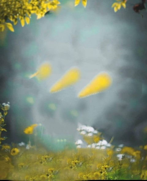 Blur PicsArt Nature Editing Background HD