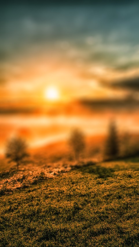 Blur Sunset Photo Editing Background HD Download