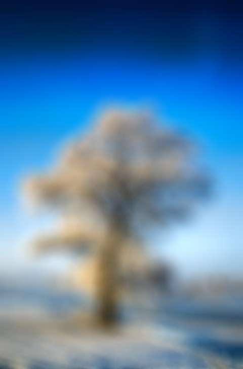 Blur Tree CB Picsart Editing Background HD Download