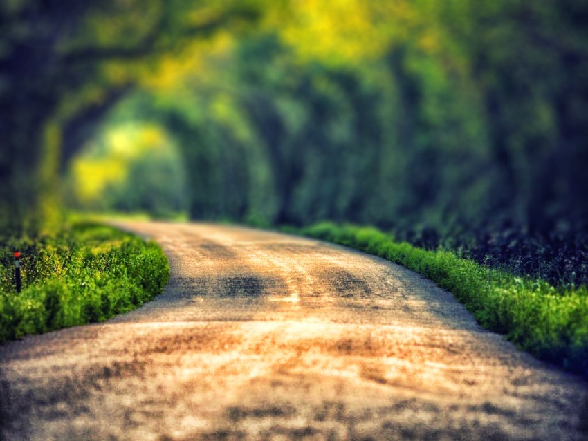 Blur Tree Nature Road Background HD Download