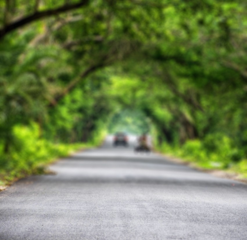 Blur Tree Road CB Picsart Editing Background HD Download