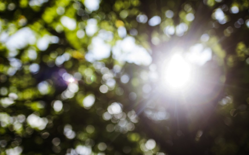 Blur Tree Sun Light Editing Full HD Background Download