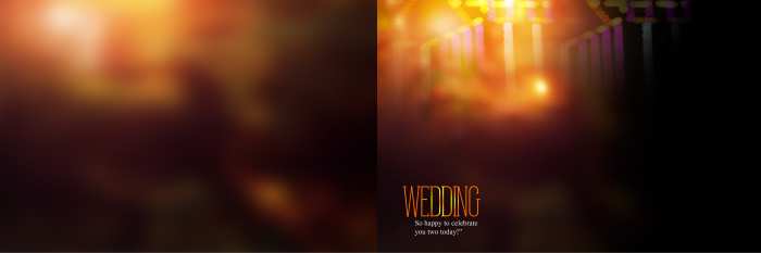 Blur Wedding Album Background Image Download