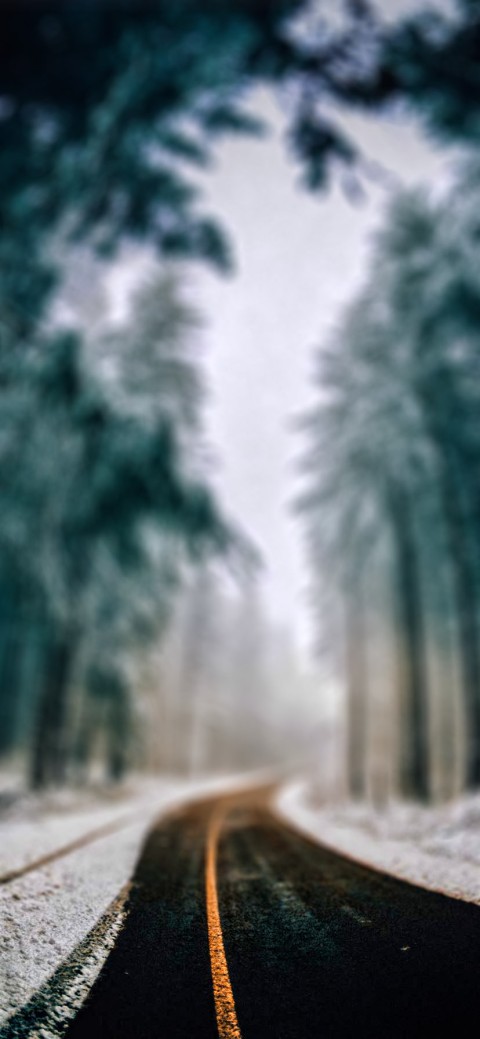 Blur Winter Forest Road Picsart Editing Background HD