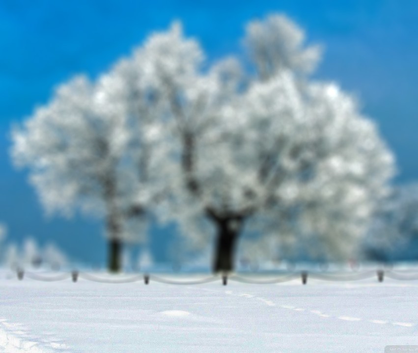 Blur Winter Ice Tree CB Picsart Background Full HD