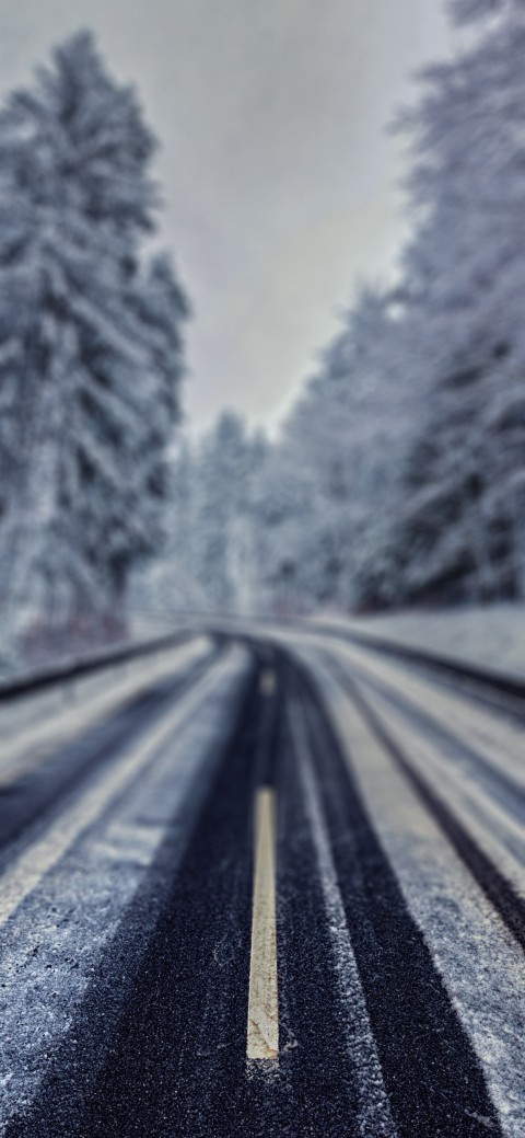 Blur Winter Road Tree Picsart Editing Background HD