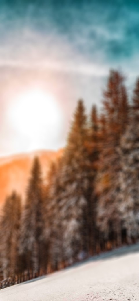 Blur Winter Tree CB Editing Picsart Background Full HD