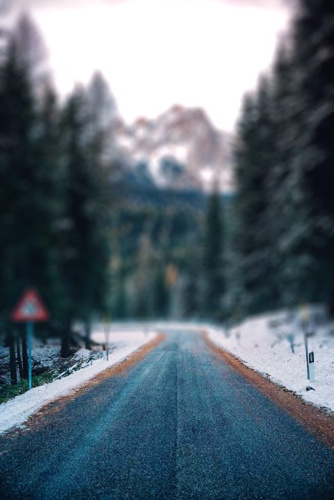 Blur Winter Tree Road CB Picsart Background Full HD