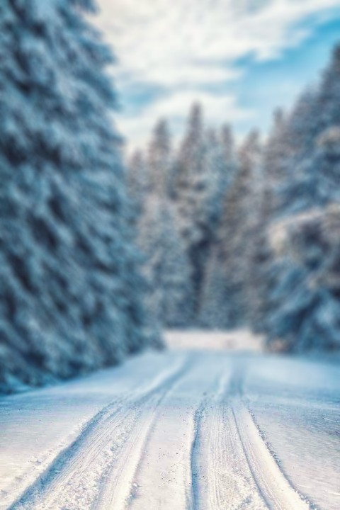 Blur Winter Tree Road CB Picsart Background Full HD