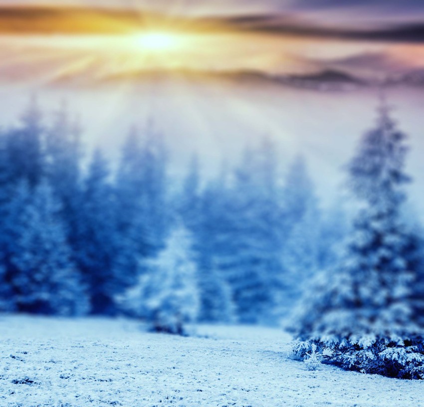 Blur Winter Tree Sunset CB Picsart Background Full HD