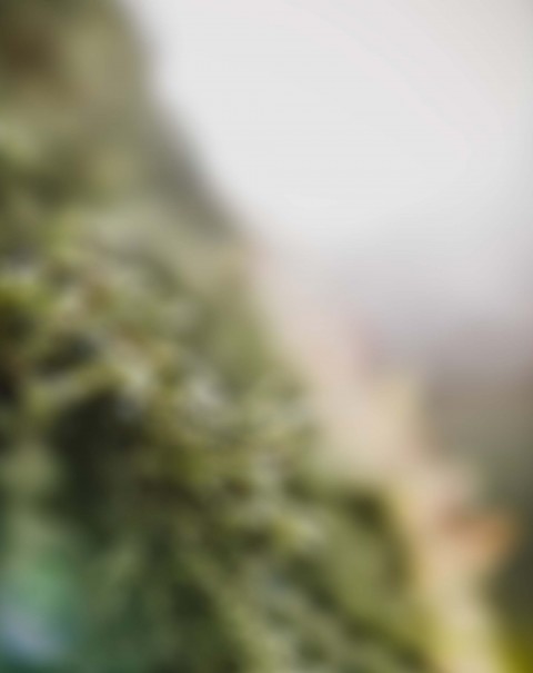 Blurred  Editing PicsaArt Background Full HD