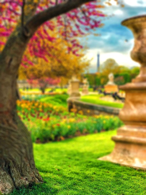 Blurred Garden CB  Editing Background HD Download