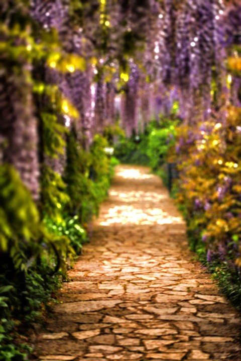 Blurred Garden CB  Editing Background HD Download