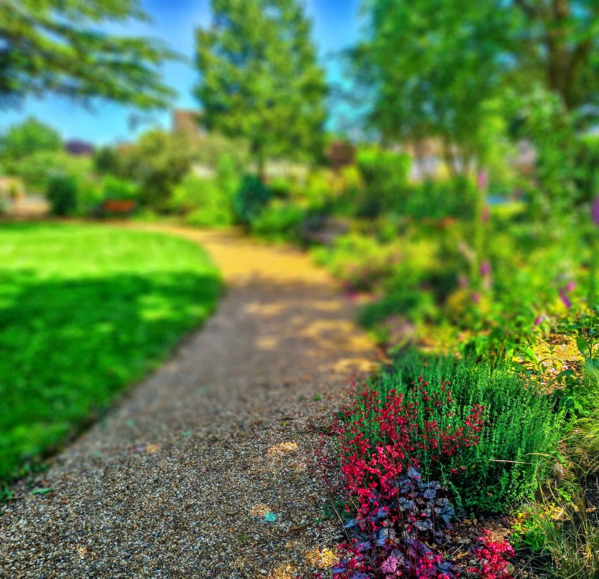 Blurred Garden CB  Editing Background HD Download