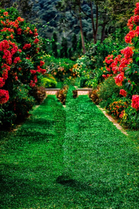 Blurred Garden Picsart Editing Background HD Download