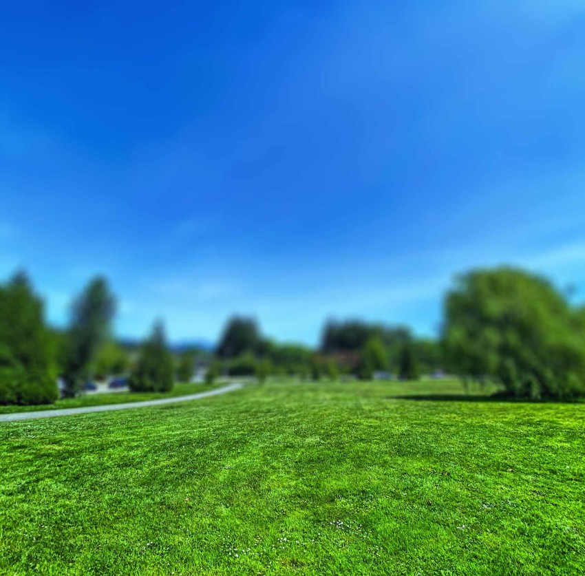 Blurred Park CB  Editing Background HD Download