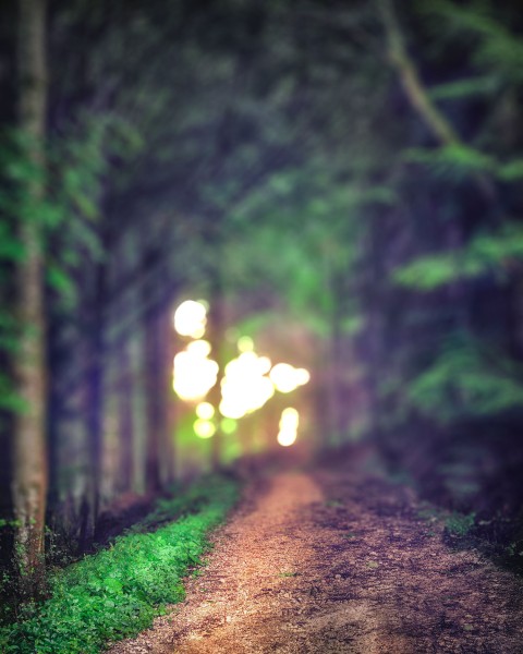 Blurred Road CB  Editing Background HD Download